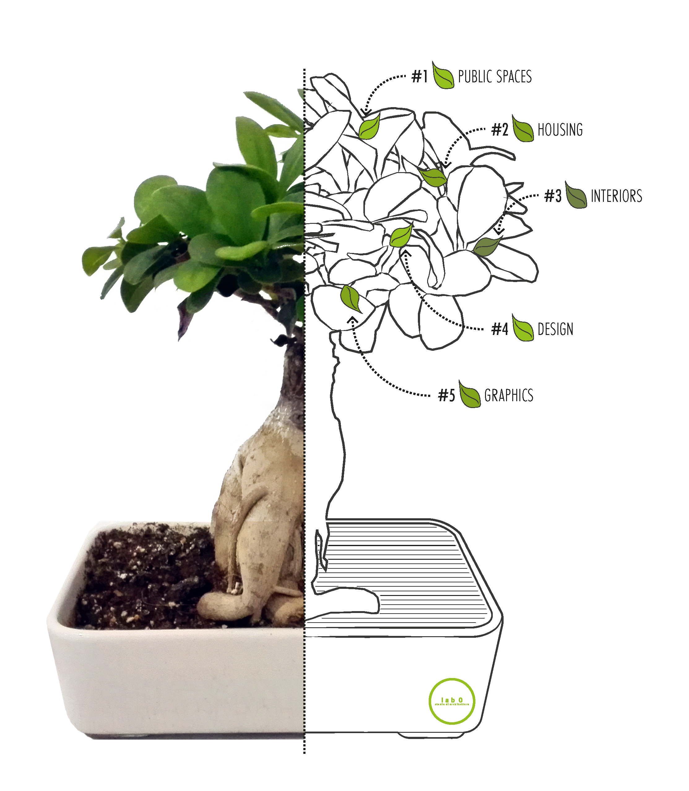 bonsai